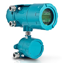 Стационарный ультразвуковой расходомер для газов FLUXUS G809